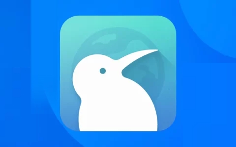 KiwiBrowser v124.0.6327.2 支持Chrome扩展程序的手机浏览器，官方清爽版